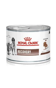 Royal Canin Recovery 195 Gr - Ameliyat Sonrası Ve İştahsızlık Dönemi Destek Maması Royal Canin Recovery 195 Gr - Ameliyat Sonrası Ve İştahsızlık Dönemi Destek Maması