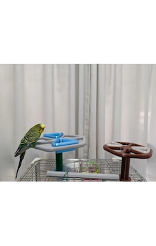 Bezos 3d Baskı Dönebilen Kuş Yemliği Ve Oyuncağı Muhabbet Kuşu Ve Papağan Oyun Standı Etkileşimli Kuş Yemliği Bezos1 Bezos 3d Baskı Dönebilen Kuş Yemliği Ve Oyuncağı Muhabbet Kuşu Ve Papağan Oyun Standı Etkileşimli Kuş Yemliği Bezos1