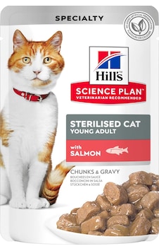 Hill's Chunks & Gravy Somonlu Pouch Kısırlaştırılmış Yetişkin Kedi Maması 85 G Hill's Chunks & Gravy Somonlu Pouch Kısırlaştırılmış Yetişkin Kedi Maması 85 G