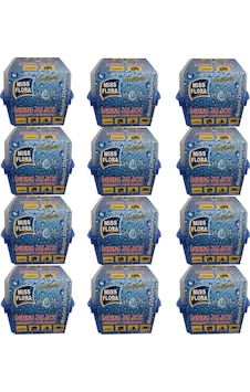 Miss Flora Nem Alıcı 450 G 12' Li Paket Miss Flora Nem Alıcı 450 G 12' Li Paket