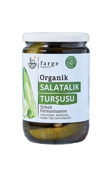 3 Adet Farge Organik Salatalık Turşusu 600 G 3 Adet Farge Organik Salatalık Turşusu 600 G