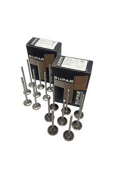 Subap Supar 101435116 Bmw B18 F20 F21 F30 F31 F35 N13 N14 N16 / Mini Cooper R55 R56 R57 R58 R59 R60 R61 Oem 11347547187 Subap Supar 101435116 Bmw B18 F20 F21 F30 F31 F35 N13 N14 N16 / Mini Cooper R55 R56 R57 R58 R59 R60 R61 Oem 11347547187