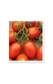 Agrodal Tarım Ata Tohumu Yerli Doğal Bursa Domatesi 100 Adet Tohum Sku: Smgstk29c144baf9 Açık Gri Agrodal Tarım Ata Tohumu Yerli Doğal Bursa Domatesi 100 Adet Tohum Sku: Smgstk29c144baf9 Açık Gri