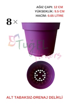 8 Adet Mor Plastik Saksı 12 Cm.lik Alt Tabaksız Mor 8 Adet Mor Plastik Saksı 12 Cm.lik Alt Tabaksız Mor