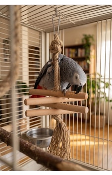 Mivra Pets Papağan Ahşap Kemirme Parçalama Stres Oyuncağı Mivra Pets Papağan Ahşap Kemirme Parçalama Stres Oyuncağı