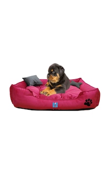 Mavi Vitrin İsme Özel Yıkanabilir Ultrasoft Küçük Irk Köpek ve Kedi Yatağı 50 x 40 CM Mavi Vitrin İsme Özel Yıkanabilir Ultrasoft Küçük Irk Köpek ve Kedi Yatağı 50 x 40 CM