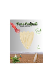 Purecanpati 4 Adet Temizlenmiş Mürekkep Balığı Kalamar Kemiği 7 Purecanpati 4 Adet Temizlenmiş Mürekkep Balığı Kalamar Kemiği 7
