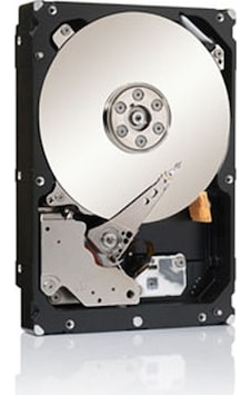 Seagate Constellation ES ST1000NM0011 1 TB SATA 3 HDD