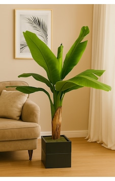 Muz Ağacı Gerçek Yaprak Görünüm Yapay Ağaç 130 Cm Doğal Ahşap Saksılı Standart Muz Ağacı Gerçek Yaprak Görünüm Yapay Ağaç 130 Cm Doğal Ahşap Saksılı Standart