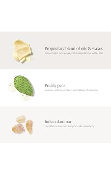 Jane Iredale Purematch Likit Kapatıcı Diğer Jane Iredale Purematch Likit Kapatıcı Diğer
