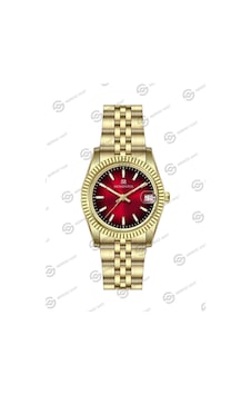 Momentus Women's Classy Cw132g-16sg Gümüş Momentus Women's Classy Cw132g-16sg Gümüş