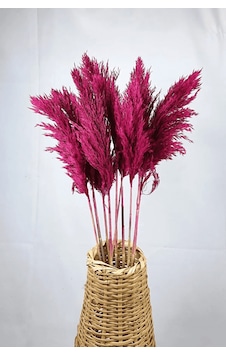 Şoklanmış Renkli Pampas Demeti 10'lu Set Pembe