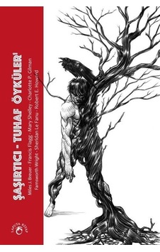 Şaşırtıcı - Tuhaf Öyküler 1- Laputa Kitap