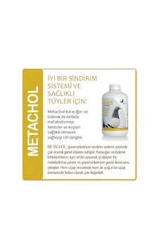 PIGEON Health Performance, METACHOL 1000 ml. (Güvercin Genel Bakı