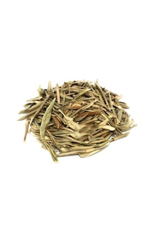 Zeytin Yaprağı 1000 Gram 1 Kilo Zeytin Yaprağı 1000 Gram 1 Kilo