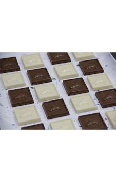 Atlı Madlen Spesiyal Portakal Çikolatalı Hediyelik Çikolata 1 Kg Atlı Madlen Spesiyal Portakal Çikolatalı Hediyelik Çikolata 1 Kg