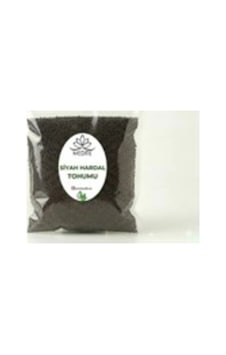 Sarı Hardal Tohumu Tane Brassicaalba Yeni Hasat 90 Gr 00280971 Sarı Hardal Tohumu Tane Brassicaalba Yeni Hasat 90 Gr 00280971