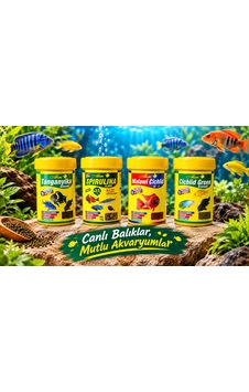 Cichlid Balık Yemi 4' Lü Set