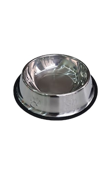 Kedi Ve Köpekler İçin Metal Mama Ve Su Kabı 30 Cm Kedi Ve Köpekler İçin Metal Mama Ve Su Kabı 30 Cm