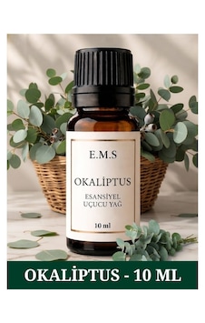 Okaliptus Esansiyel Uçucu Yağ Buhurdanlık Yağı Difüzör Esansı Oda Kokusu Esansı Mum Esansı 10 Ml. Okaliptus Esansiyel Uçucu Yağ Buhurdanlık Yağı Difüzör Esansı Oda Kokusu Esansı Mum Esansı 10 Ml.