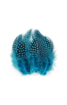100 Pcs Decor Blue Bırd Feather 100 Adet Puantiyeli Mavi Siyah Kuş Tüyü Dekor Mavi Kuş Tüyü Diğer 100 Pcs Decor Blue Bırd Feather 100 Adet Puantiyeli Mavi Siyah Kuş Tüyü Dekor Mavi Kuş Tüyü Diğer