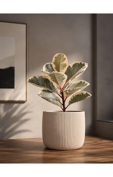 Lexroo Beyaz Çizgili Dekoratif Saksı Modern Tasarım, Masaüstü V Lexroo Beyaz Çizgili Dekoratif Saksı Modern Tasarım, Masaüstü V