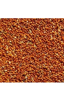 Elenmiş Kızıl Dal Darı 1 KG Elenmiş Kızıl Dal Darı 1 KG