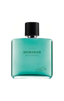 Horizon Wilderness Edt 75 Ml Erkek Parfümü 8681298915263 Odunsu