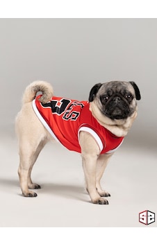 Salya Store Chicago Yazlık Köpek Forma Kedi Köpek Kıyafeti Küçük Irk Salya Store Chicago Yazlık Köpek Forma Kedi Köpek Kıyafeti Küçük Irk