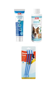 Bio Petactive Biodent Enzymatic Köpek Diş Macunu 100 Ml + Biodent Hexidine 250 Ml + Diş Fırçası 3 Lü Bio Petactive Biodent Enzymatic Köpek Diş Macunu 100 Ml + Biodent Hexidine 250 Ml + Diş Fırçası 3 Lü