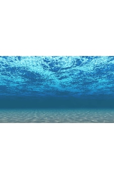 Kanki Pet KP1055208 Akvaryum Arka Fon Yapıştırma 105 CM Kanki Pet KP1055208 Akvaryum Arka Fon Yapıştırma 105 CM