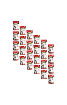 Jungle Pouch Gravy Soslu Biftekli Yaş Yetişkin Kedi Maması 24 x 100 G Jungle Pouch Gravy Soslu Biftekli Yaş Yetişkin Kedi Maması 24 x 100 G