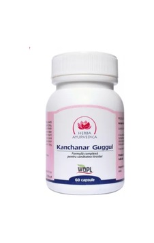 Kanchanar Guggul 60 Kapsül Bitkisel Takviye Edici Gıda Kanchanar Guggul 60 Kapsül Bitkisel Takviye Edici Gıda