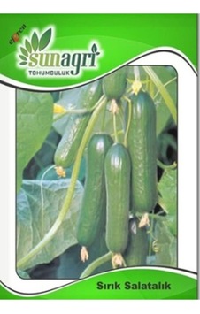 Organik Sırık Salatalık Tohumu 20 Adet Organik Sırık Salatalık Tohumu 20 Adet