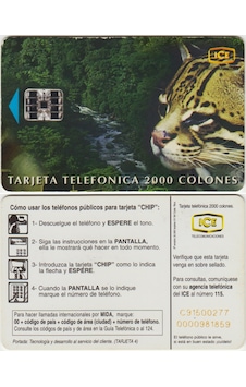 Kosta Rika Telefon Kartı 1999 Vahşi Yaşam Temalı. 2000 Kolon. Kosta Rika Telefon Kartı 1999 Vahşi Yaşam Temalı. 2000 Kolon.