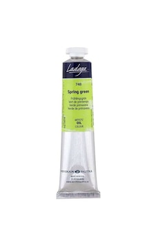 St. Petersburg Ladoga Yağlı Boya 46 Ml Spring Green 748 St. Petersburg Ladoga Yağlı Boya 46 Ml Spring Green 748