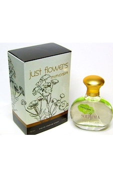 Solissima Mimosa Kadın Parfüm EDP 50 ML Solissima Mimosa Kadın Parfüm EDP 50 ML