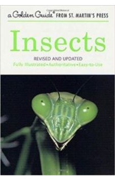 Golden Guide Insects 9781582381299