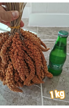 Petdoys Kızıl Dal Darı 1 Kg Muhabbet Kuş Yemi