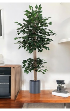 Yapay Benjamin Ağacı Bambu Gövdeli Yeşil Şık Metal Sıyah Saksılı 100 Cm Yeşil Yapay Benjamin Ağacı Bambu Gövdeli Yeşil Şık Metal Sıyah Saksılı 100 Cm Yeşil