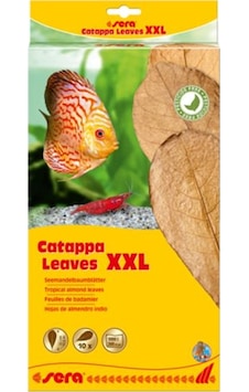 Sera Catappa Yaprağı Xxl 32 Cm 10'lu Paket Sera Catappa Yaprağı Xxl 32 Cm 10'lu Paket