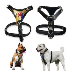 Buyuk Kopek Tasmasi N11 Com