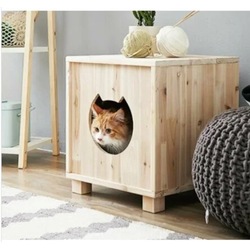 kedi evi n11 com kedi evi n11 com