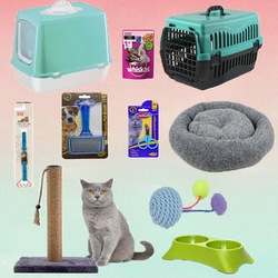 Kedi Seti Evcil Hayvan Urunleri N11 Com
