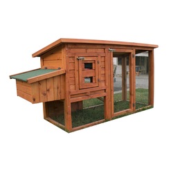 Tavuk Kumesi N11 Com Tavuk Kumesi N11 Com