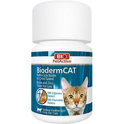 Kedi Vitamin ve Ek Besinler Hangi Sorunlar İçin Kullanılır?