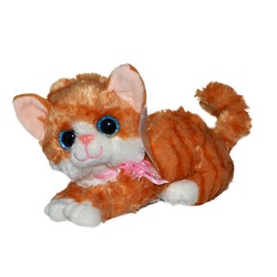 Oyuncak Kedi Pelus Oyuncak Egitici Oyuncak Fiyatlari N11 Com