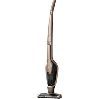 Electrolux Eer77ssm Ergorapido 2 In 1 Sarjli Dikey Supurge Fiyatlari Ve Ozellikleri