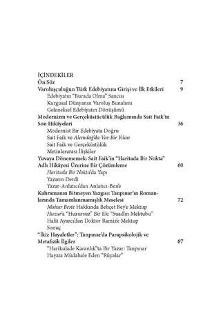 Anlama Arzusu - Modern Türk Edebiyatı Üzerine Yazılar
