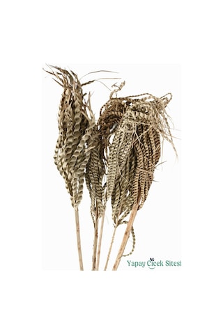 Yapay Çiçek Sitesi Kuru Çiçek Doğal Yılan Örgü Palm Snake Stems 75 Cm 5li Naturel